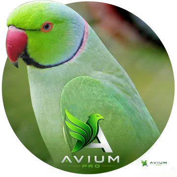 Avium PRO